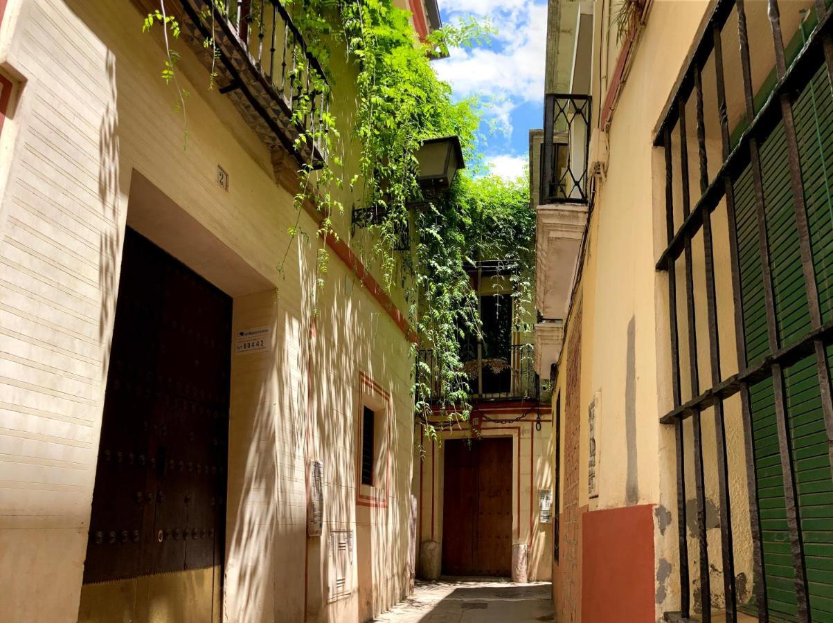San Clemente Big&Comfy apartment Sevilla Exterior foto